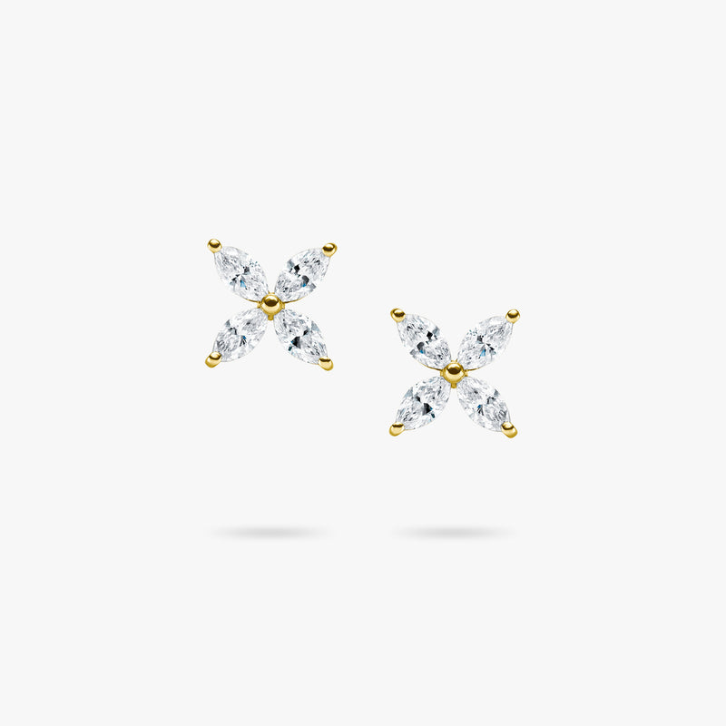 Edelweiss